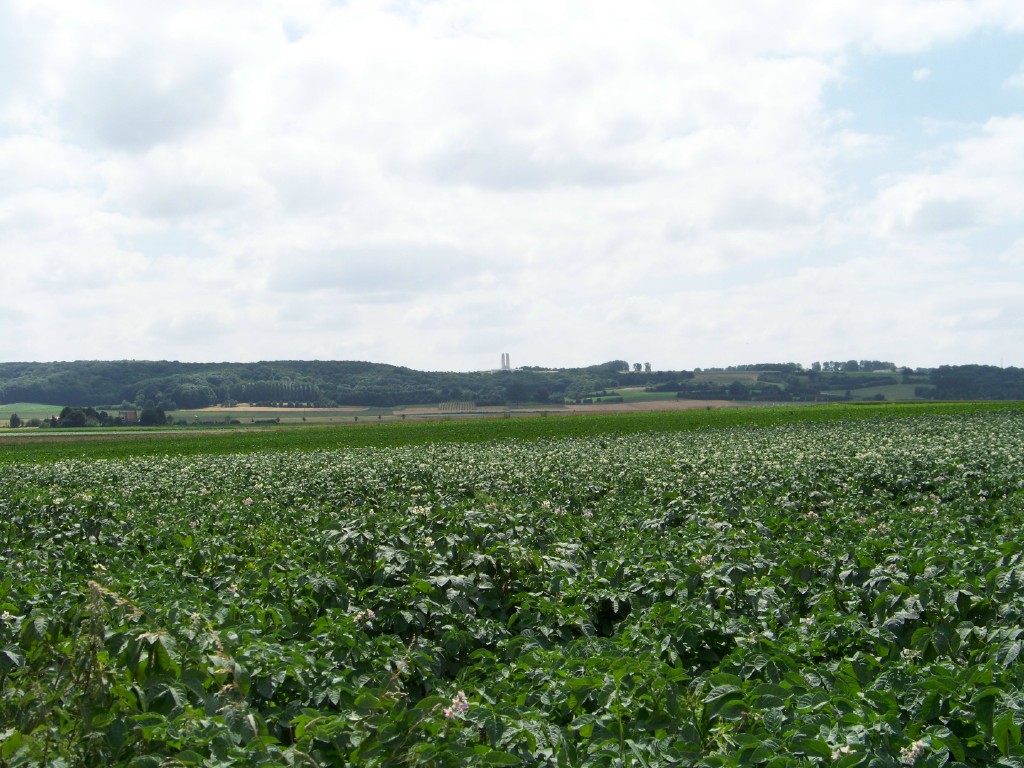 Le monument surplombant la plaine